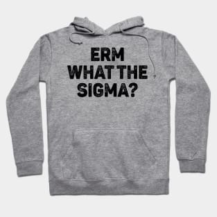 Erm What The Sigma Hoodie